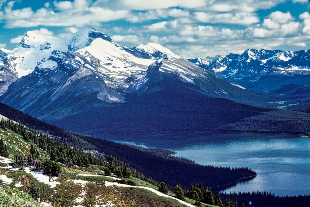 Queen Elizabeth Ranges, Jasper NP, AB