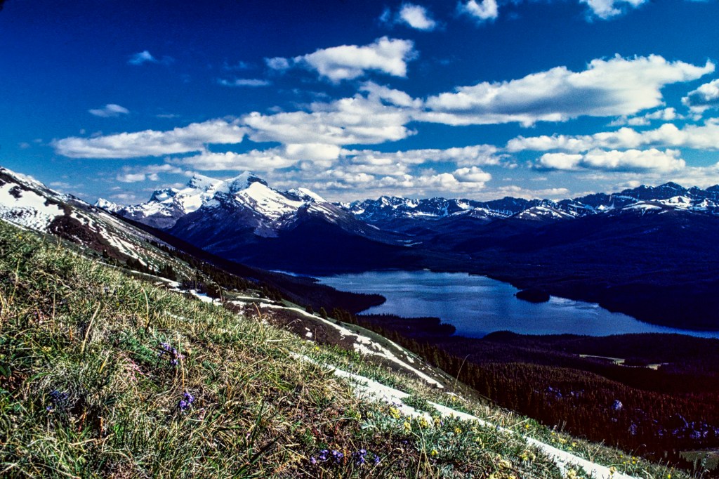 Queen Elizabeth Ranges, Jasper NP, AB