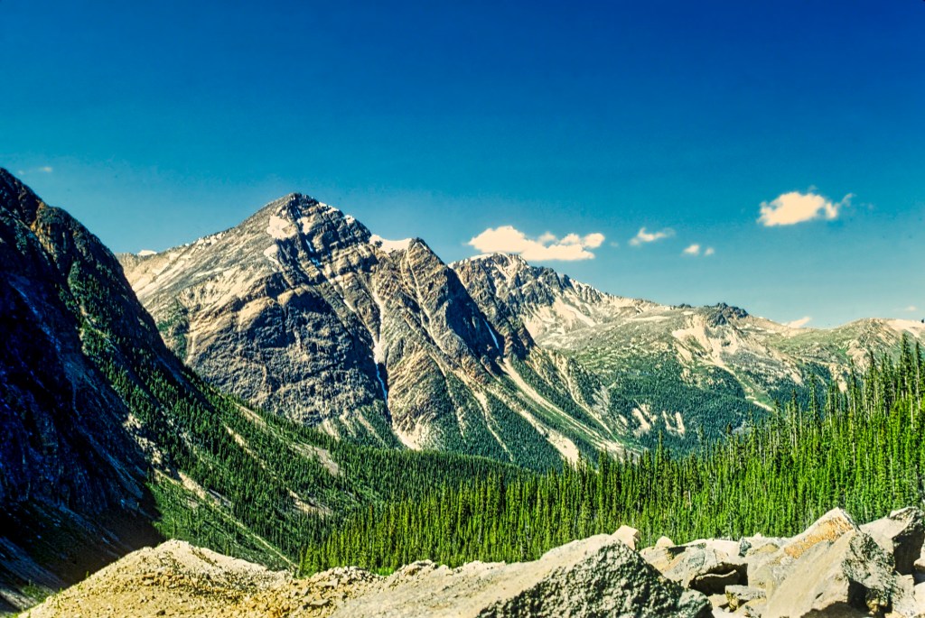 Franchère Peak from Cavell Meadows, Jasper NP, AB