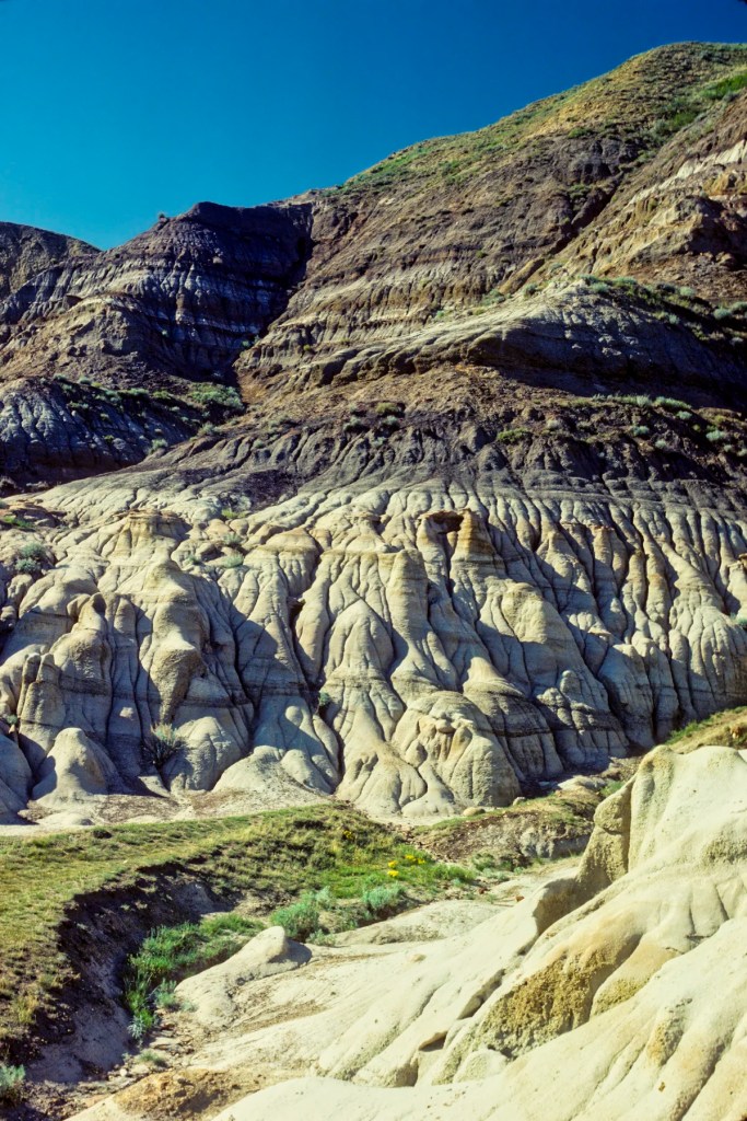 Bentonite and Other Layers, Dinosaur PP, Alberta