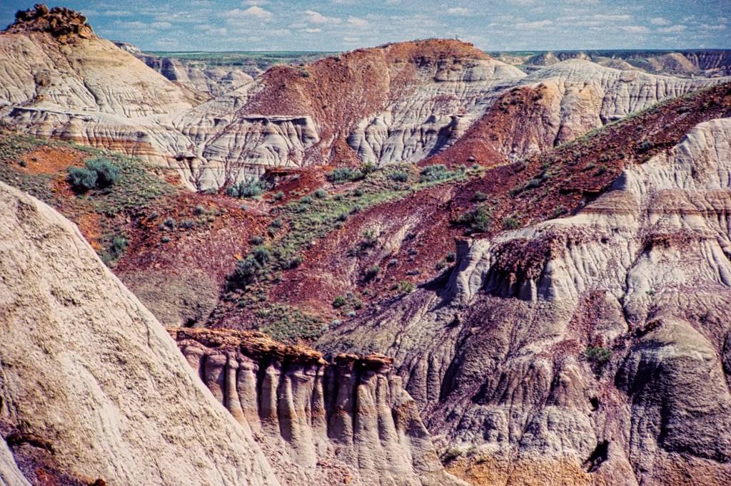 There are no landmarks! Dinosaur PP