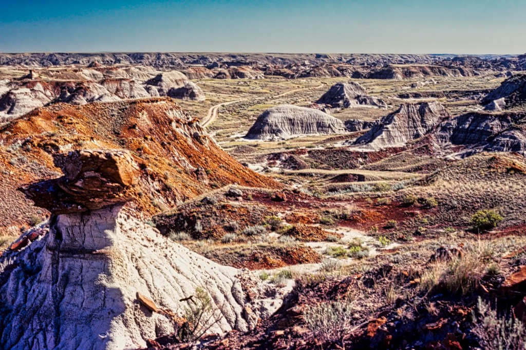 Bus Tour Road and View, Dinosaur PP