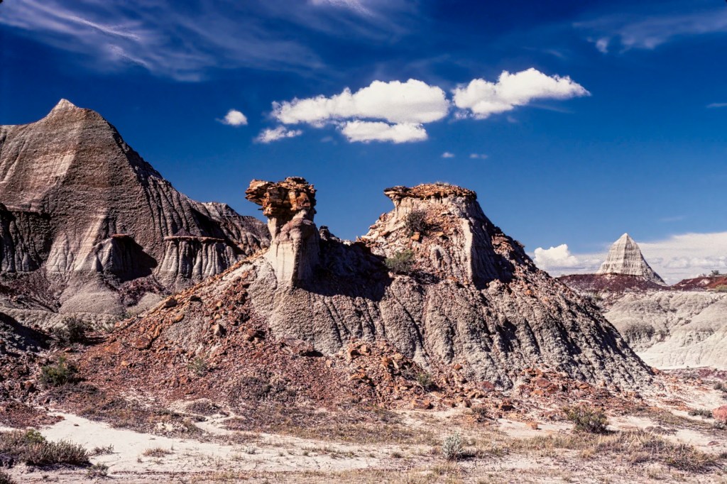 Fred the Camel, Dinosaur PP