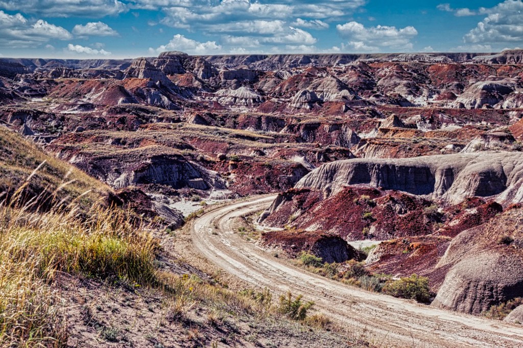 Bus Tour Road and View, Dinosaur PP
