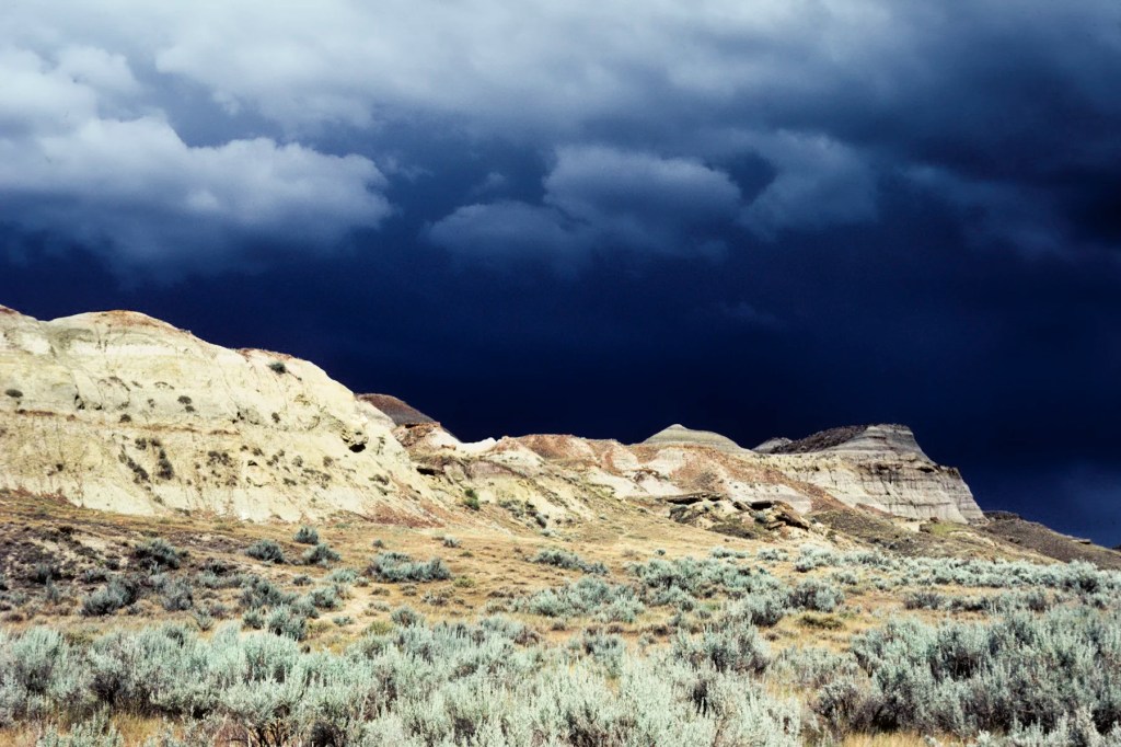 Rainstorm, Dinosaur PP, Alberta