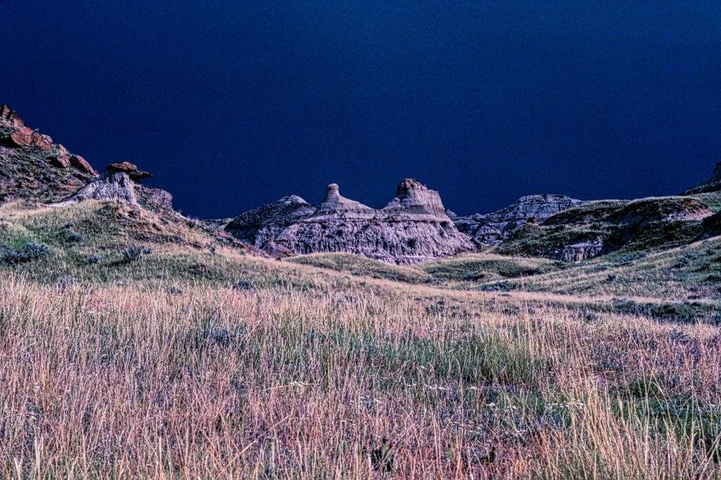 Rain Storm, Dinosaur PP