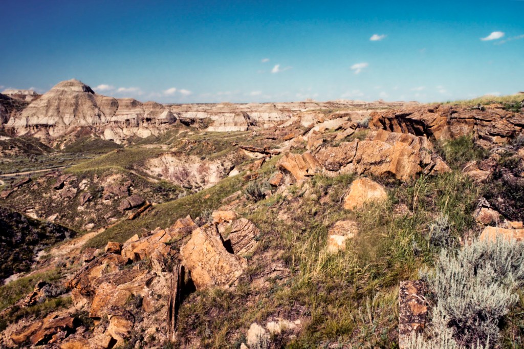 View above Loop Road, Dinosaur PP, Alberta