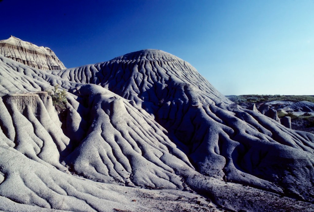 Characteristic Erosion, Dinosaur PP