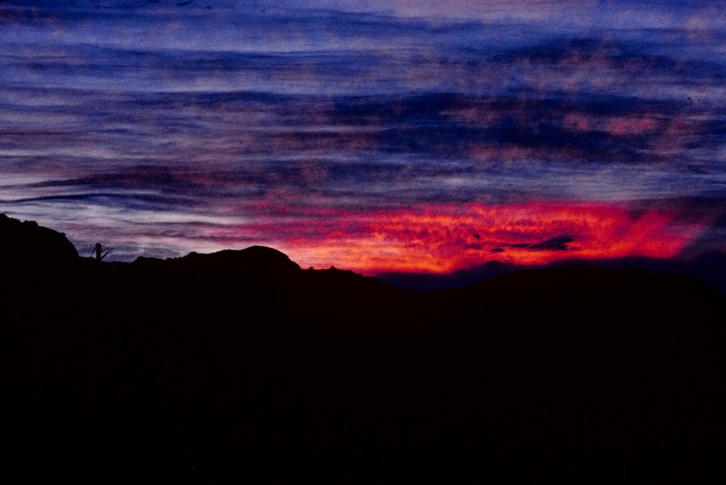 Fireside Farewell Sunset, Dinosaur PP