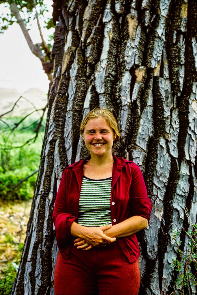 Cottonwood tree in the Dinosaur PP Campground
