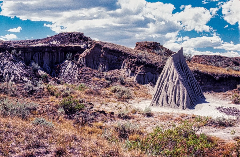 Fred the Pyramid, Dinosaur PP, Alberta