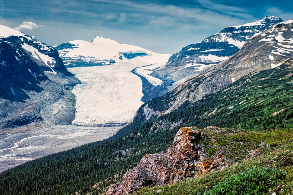 North Saskatchewan Glacier, Parker’s Ridge Trail