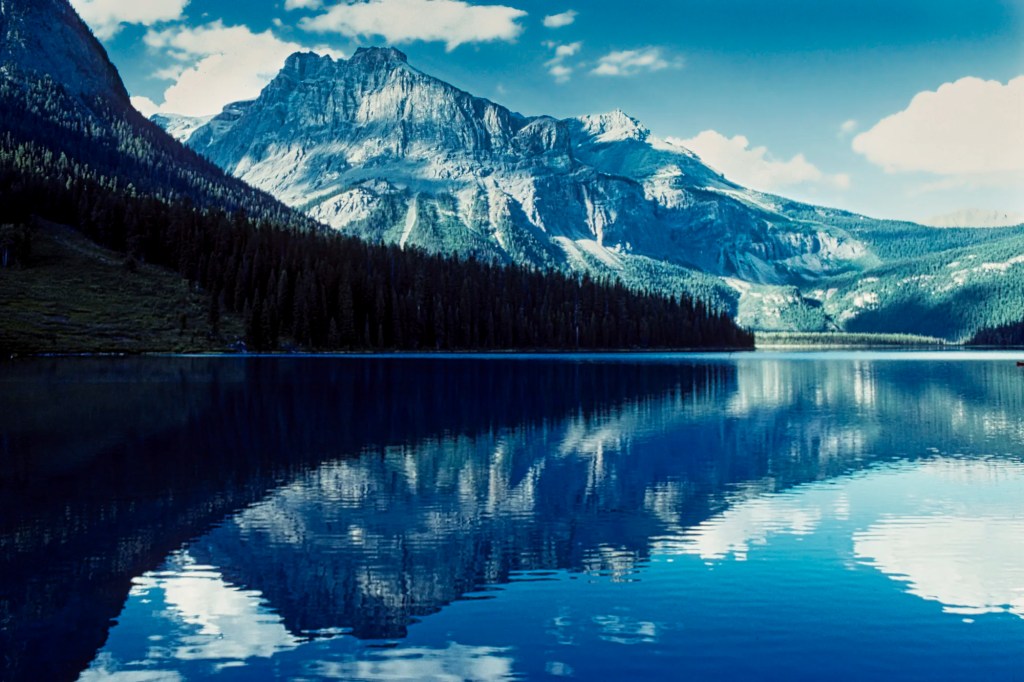 Emerald Lake Reflections