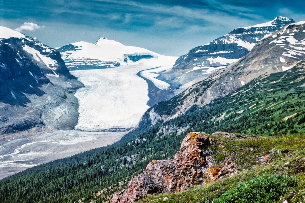 Parker Ridge Trail, Banff NP, AB