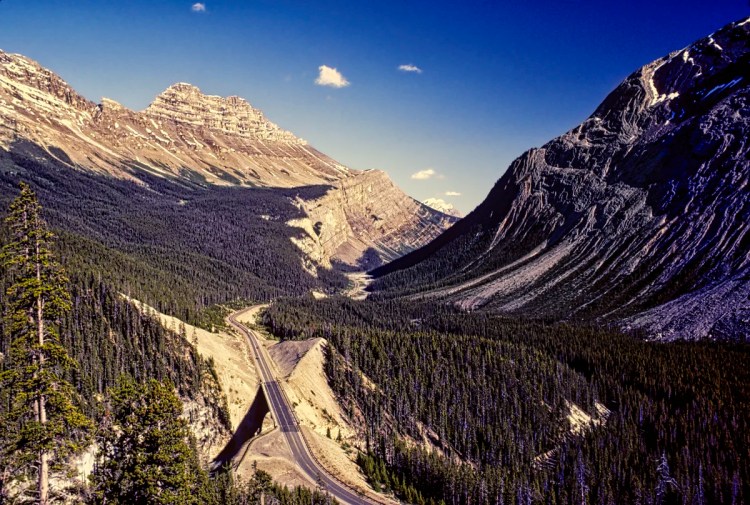 Cirrus Mountain from Big Bend Lookout, Banff NP, Alberta