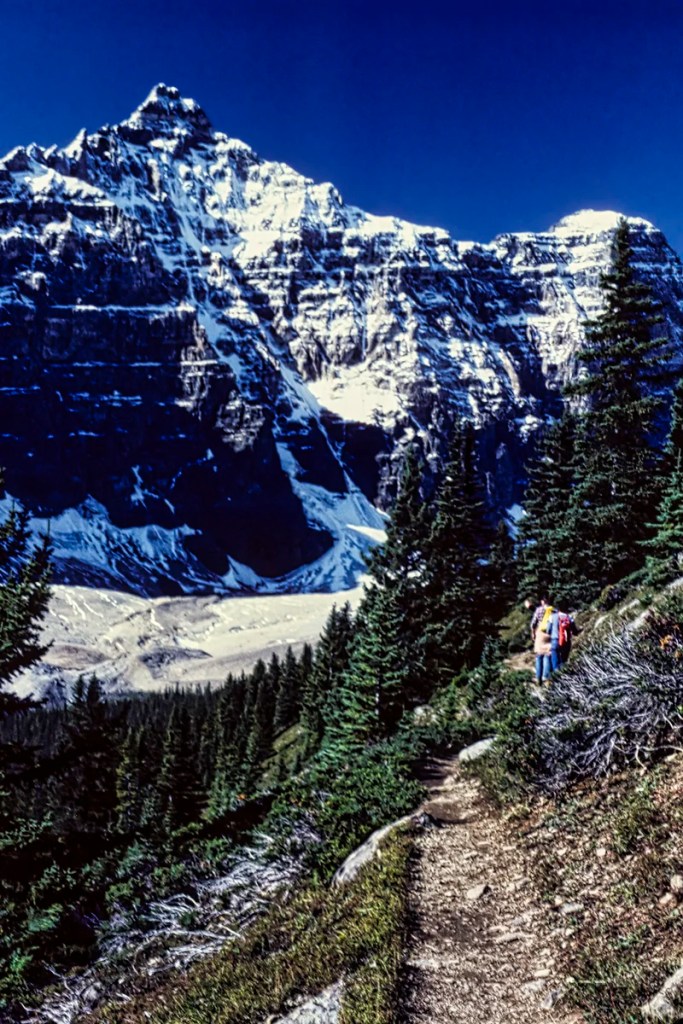 Wenkchemna Peaks, Eiffel Lake Trail, Banff NP,AB