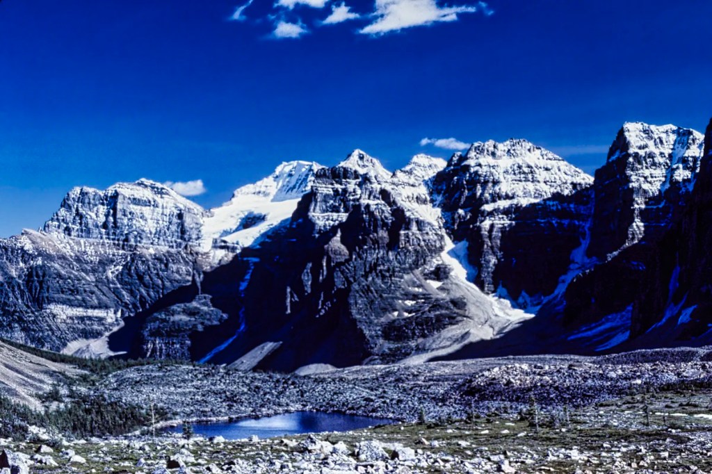 Wenkchemna Peaks from Alpine Meadows, Banff NP, AB
