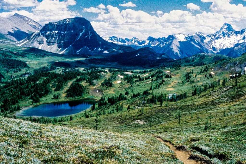Howard Douglas Lake, Citadel Pass Trail, Banff NP