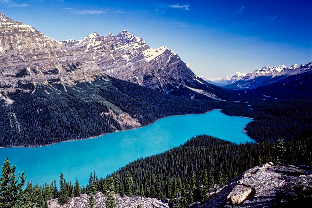 Uncover Awe-Inspiring Views: Your Ultimate Canadian Rockies Travel Guide