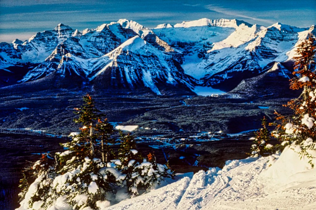 Lake Louise from the Ski Hill