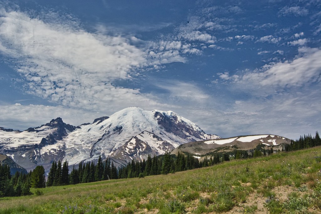 Meadow and Rainier 27 mm View, Mount Rainier NP, WA
2014-08-01, 14:09:20