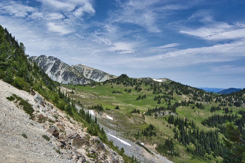 Forest View, Mount Rainier NP, WA
2014-08-01, 14:18:18