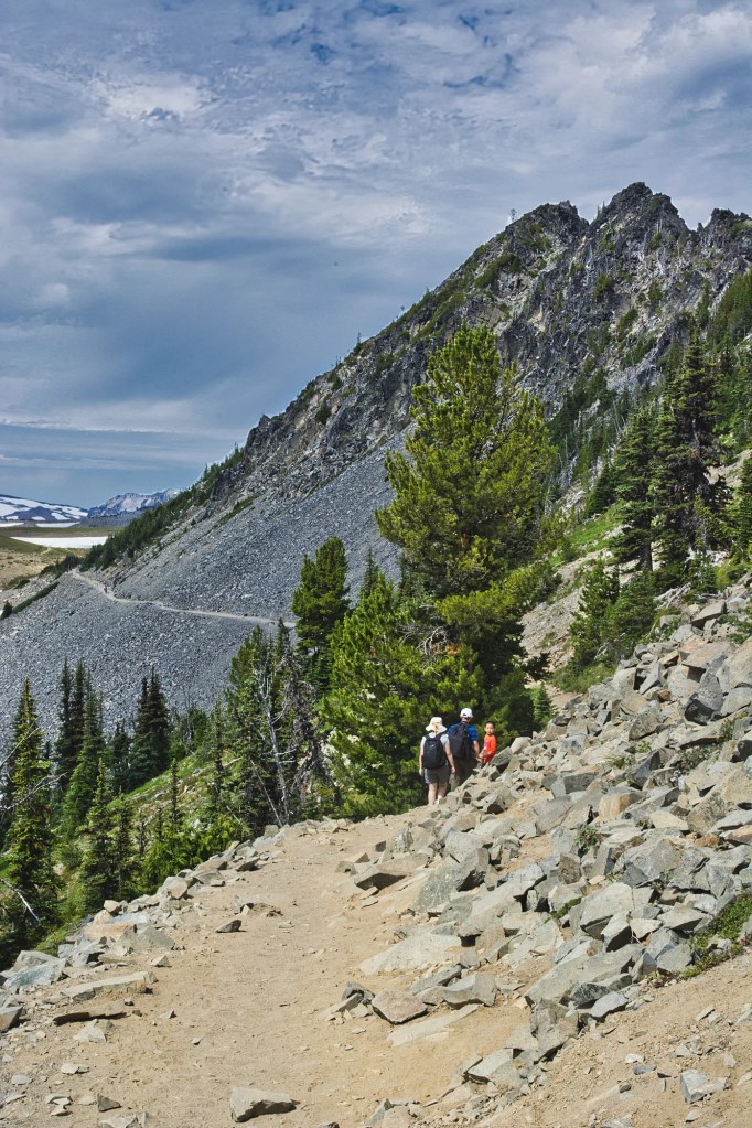 Sourdough Ridge Trail 52 mm View, Mount Rainier NP, WA