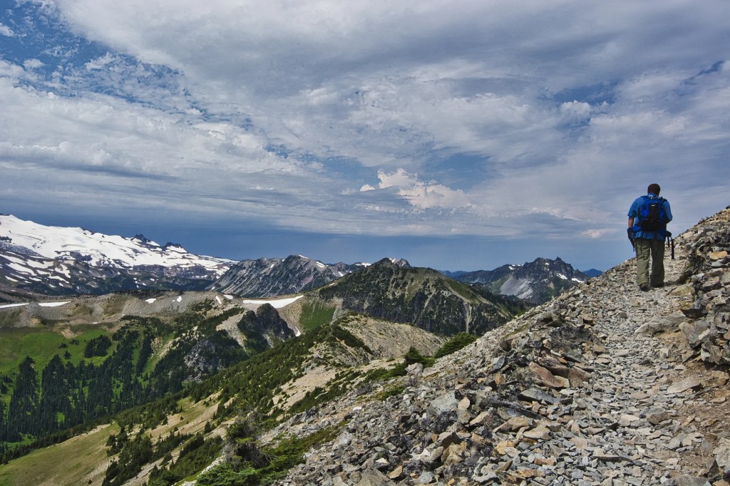 Birder's View, Mount Rainier NP, WA