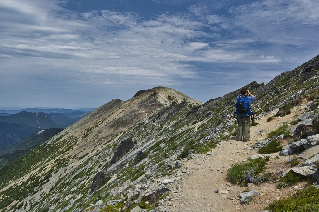 Birder Watching 27 mm View, Mount Rainier NP, WA
2014-08-01, 15:35:46 - 14:55:47 - 