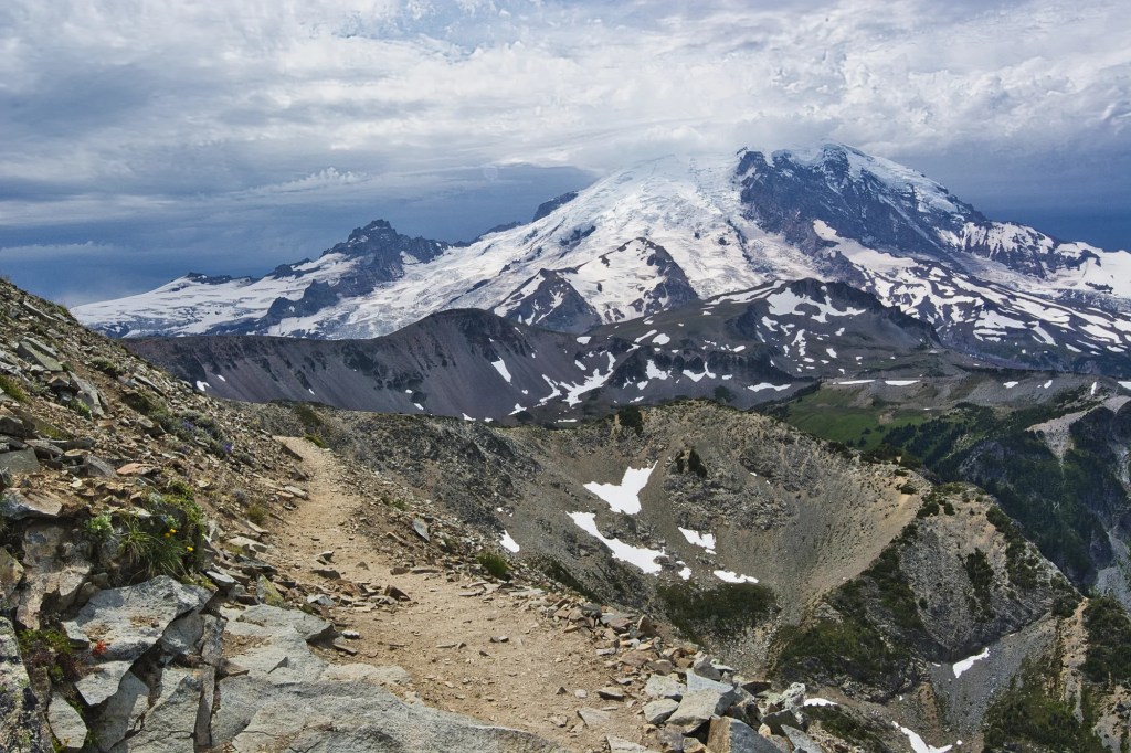 Mt Fremont Trail View, Mount Rainier NP, WA