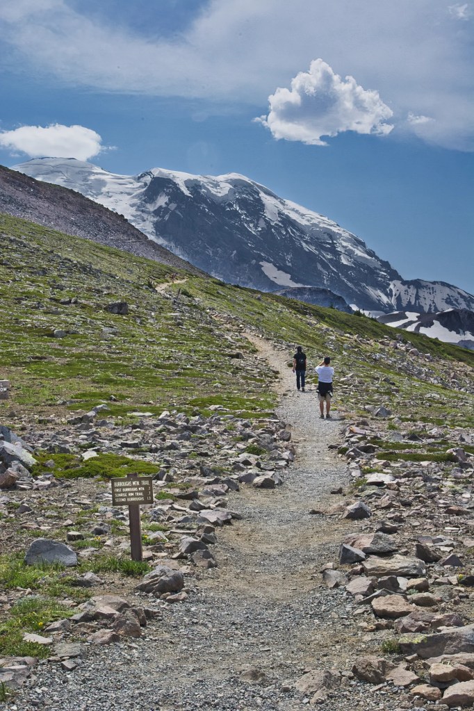 Burroughss Mt Trail 52 mm View, Mount Rainier NP, WA 
2014/08/01 17:35:42 - 15:35:46