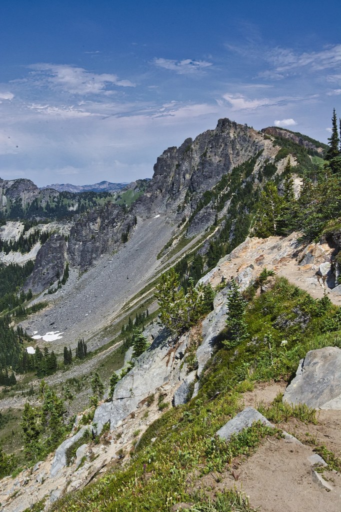 Mt Fremont Trail 37 mm View, Mount Rainier NP, WA 
2014/08/01 18:24:52