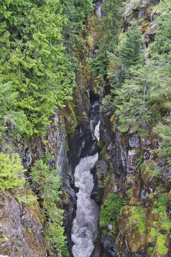 Box Canyon, Mount Rainier NP, WA