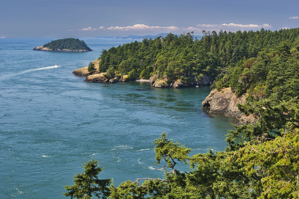 Deep Green Pacific, Deception Pass, WA