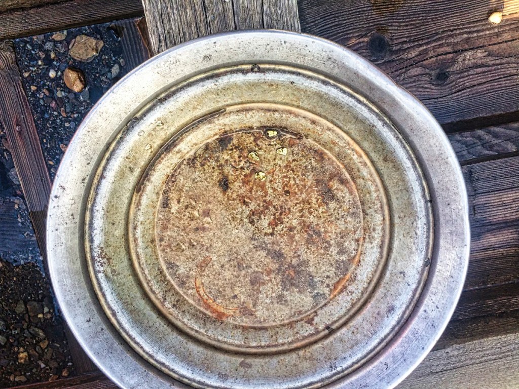 Gold Panning, Barkerville BC