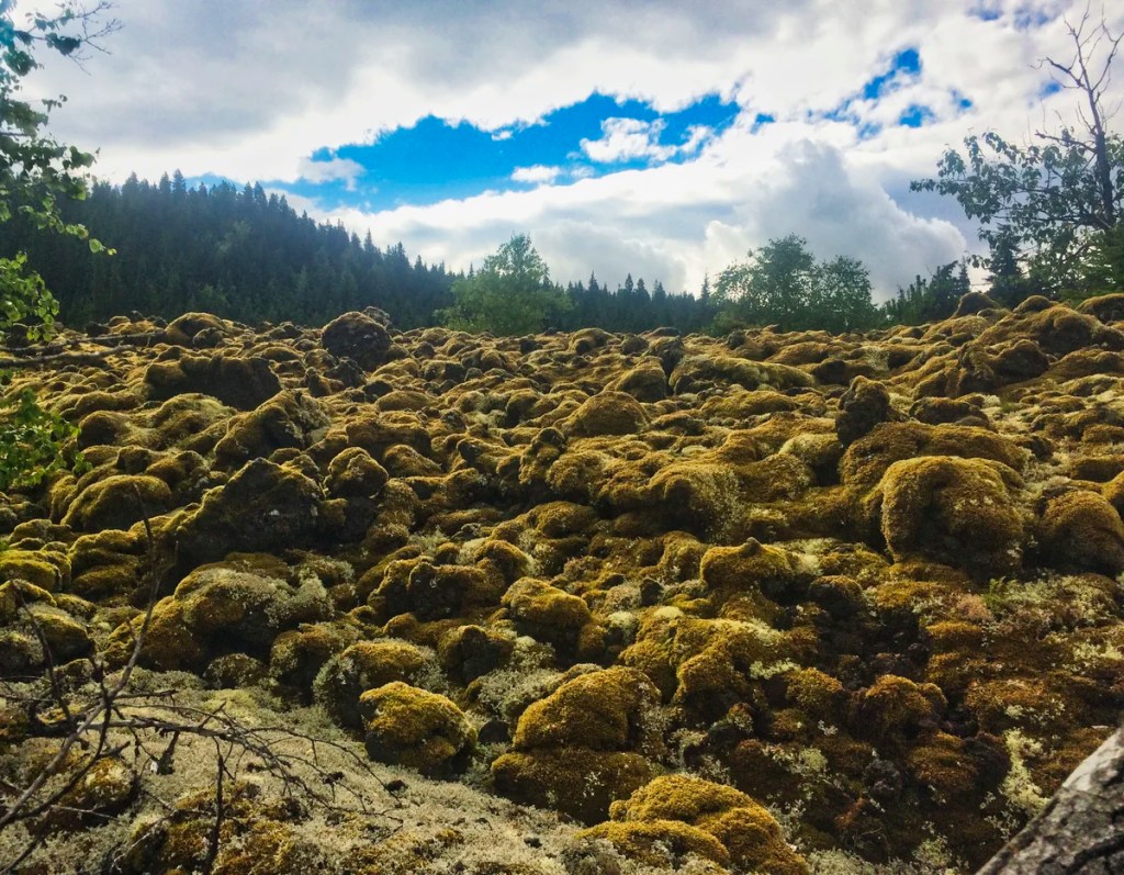 Lava Beds PP, Nisga'a First Nation, BC