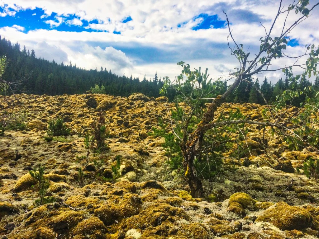 Lava Beds PP, Nisga'a First Nation, BC