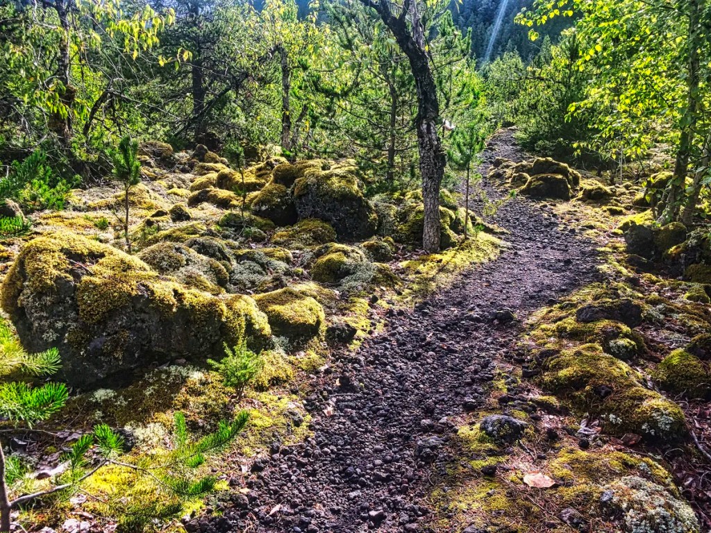Lava Beds PP, Nisga'a First Nation, BC