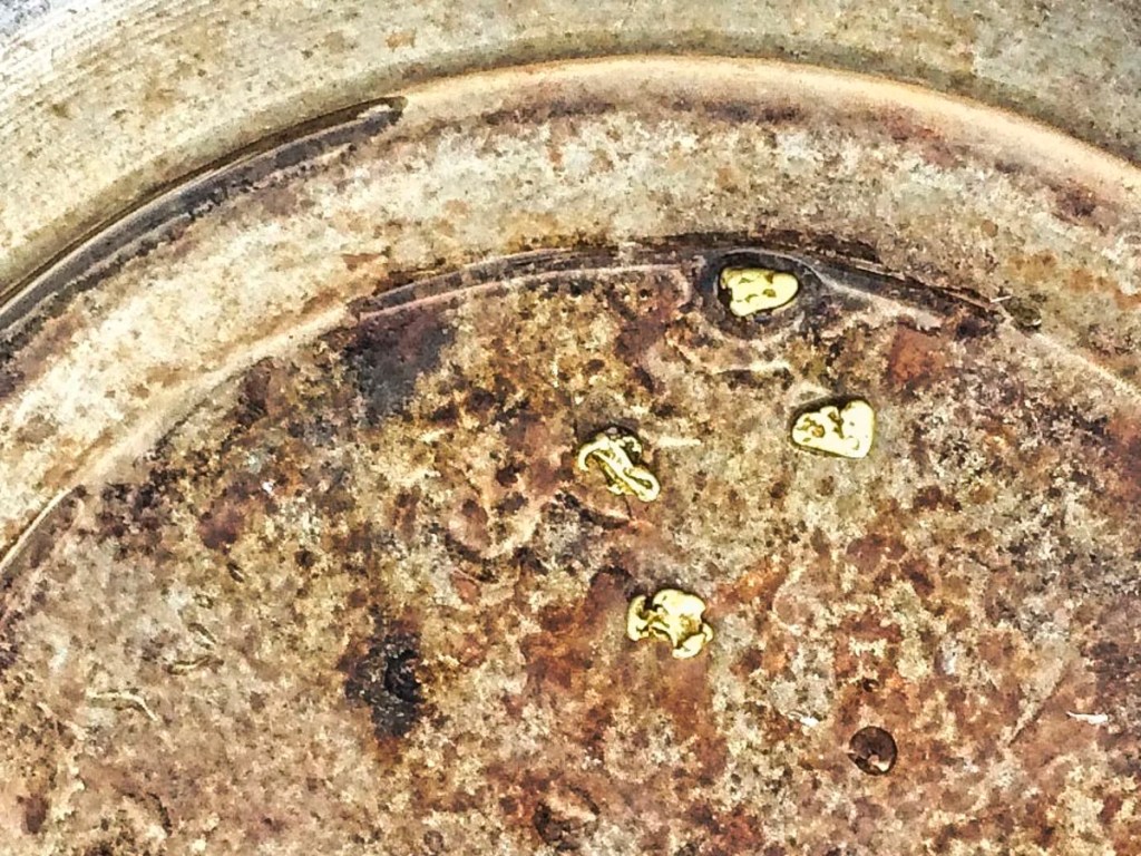 Gold Panning, Barkerville BC