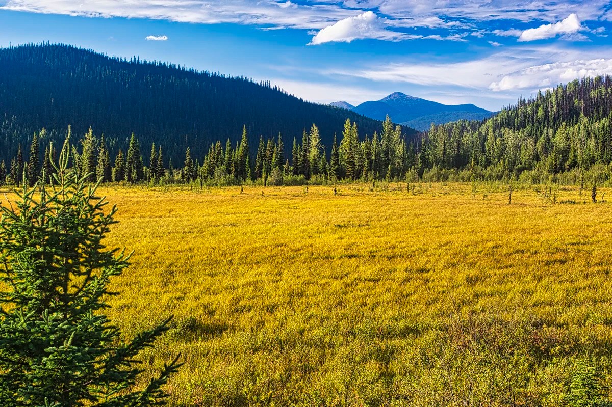 Cariboo Mountains, Wells