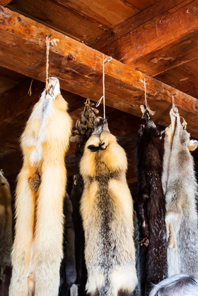 Furs hanging in the Fur Warehouse