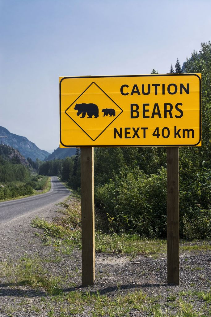 Caution Bears Sign, Stewart-Cassiar Highway Caution Bears Sign, Stewart-Cassiar Highway, British Columbia