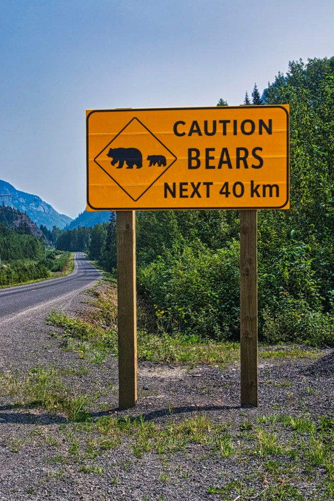 Bear Sign, Stewart-Cassiar Highway, BC
