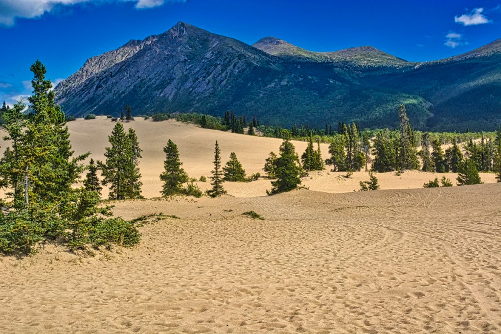 Carcross Desert, Yukon