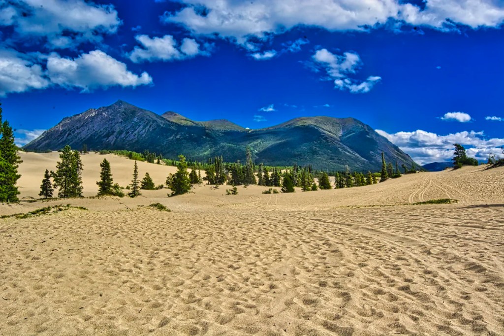 Carcross Desert, Yukon