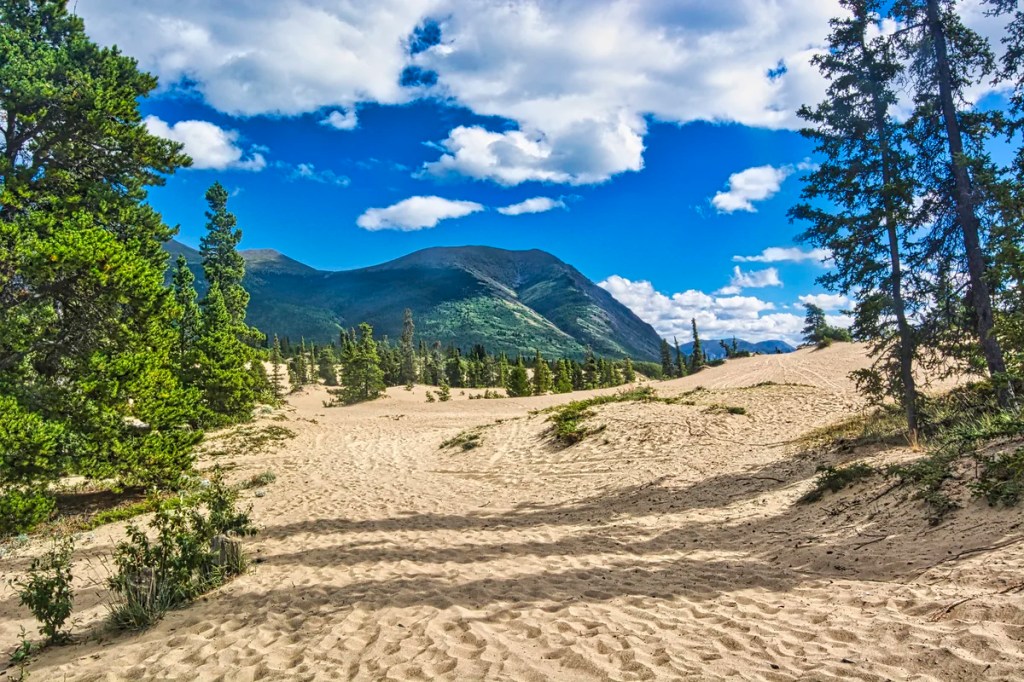 Carcross Desert, Yukon