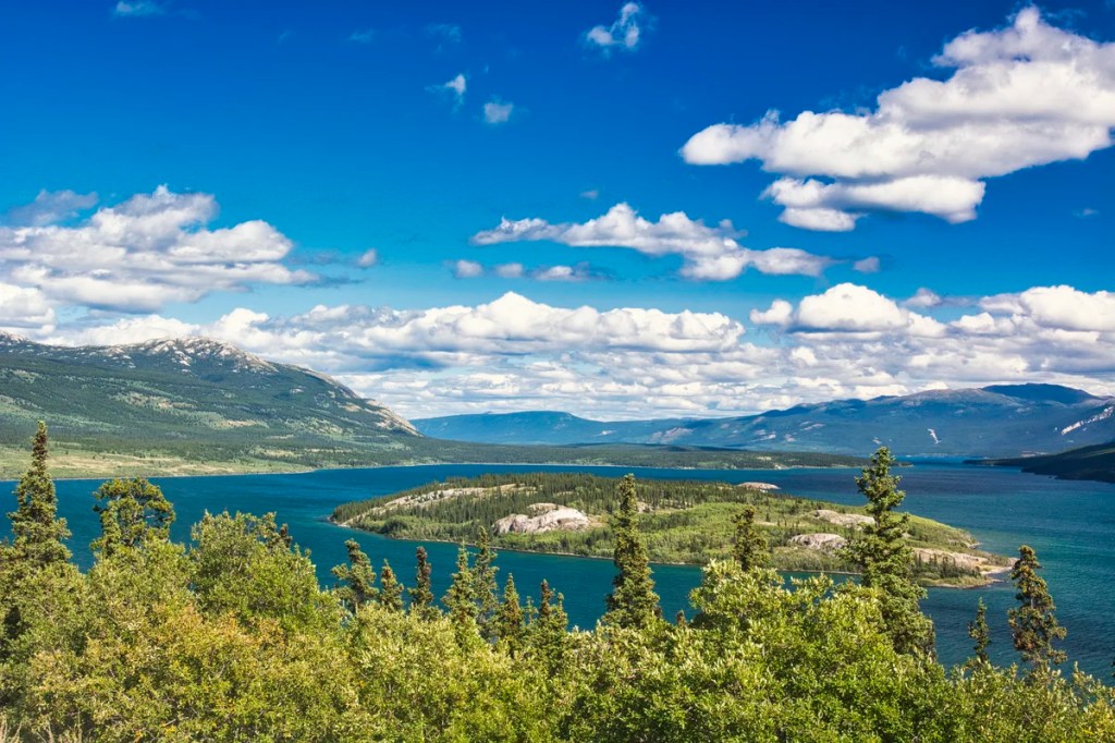 Bove Island Viewpoint, Yukon
