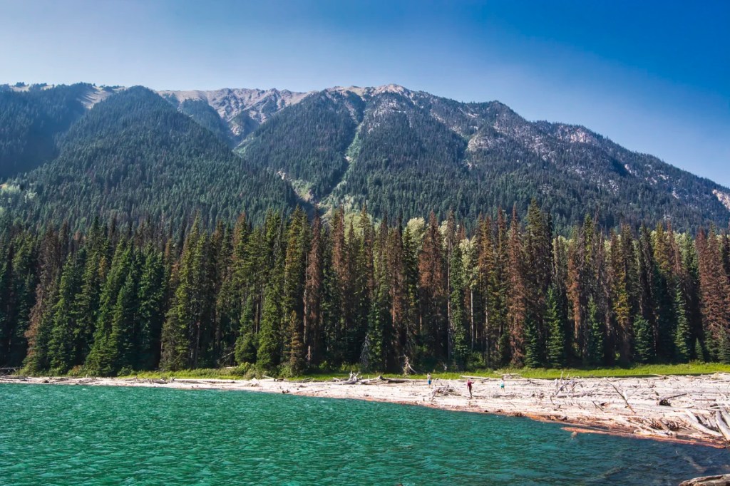 Duffey Lake Viewpoint, BC