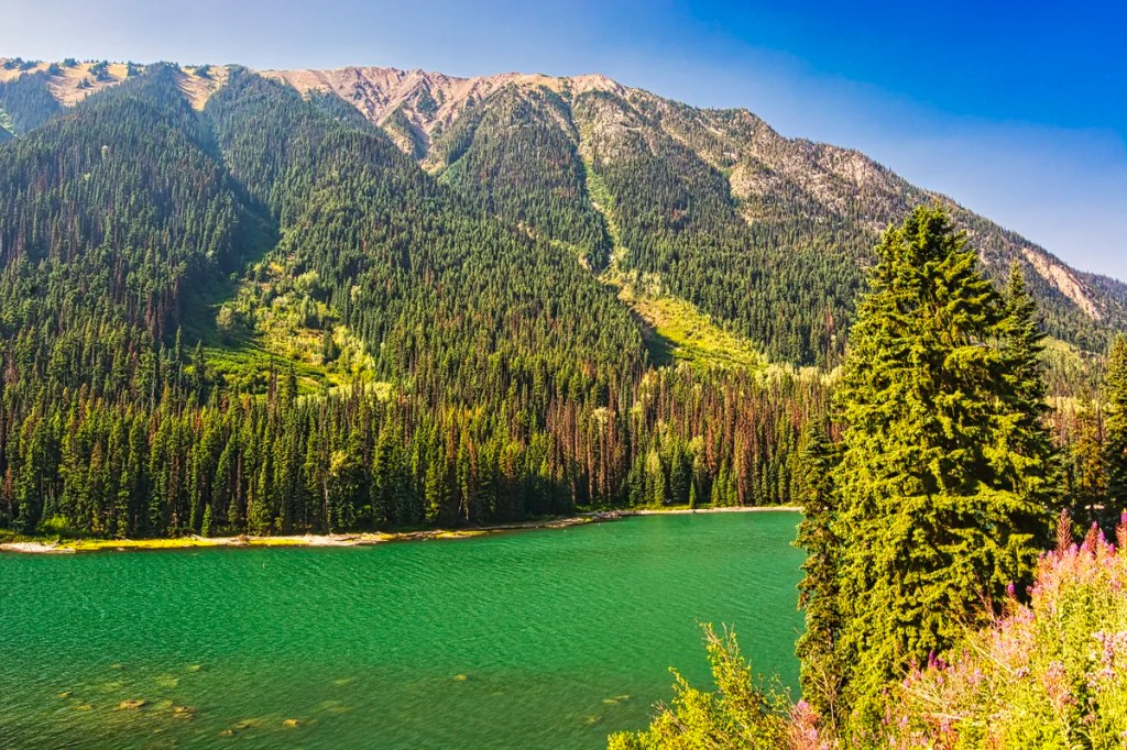 Duffey Lake View, BC