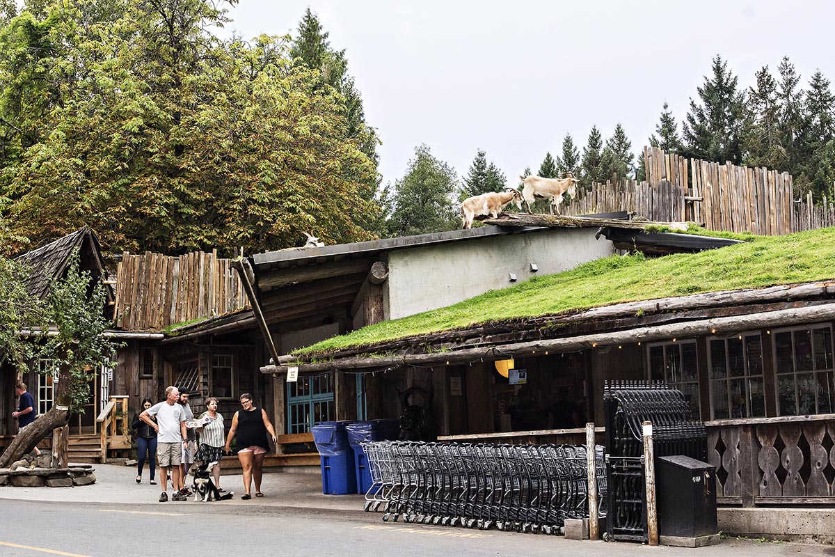 Goat Village, Coombs BC